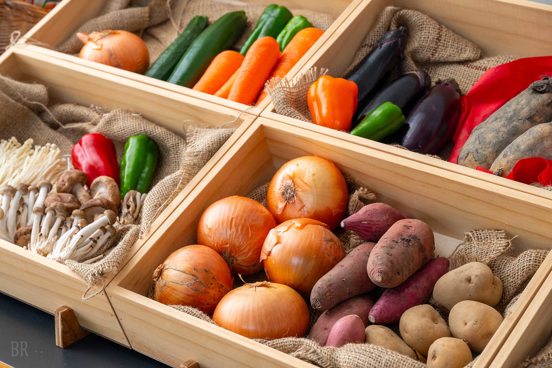 お野菜マルシェ