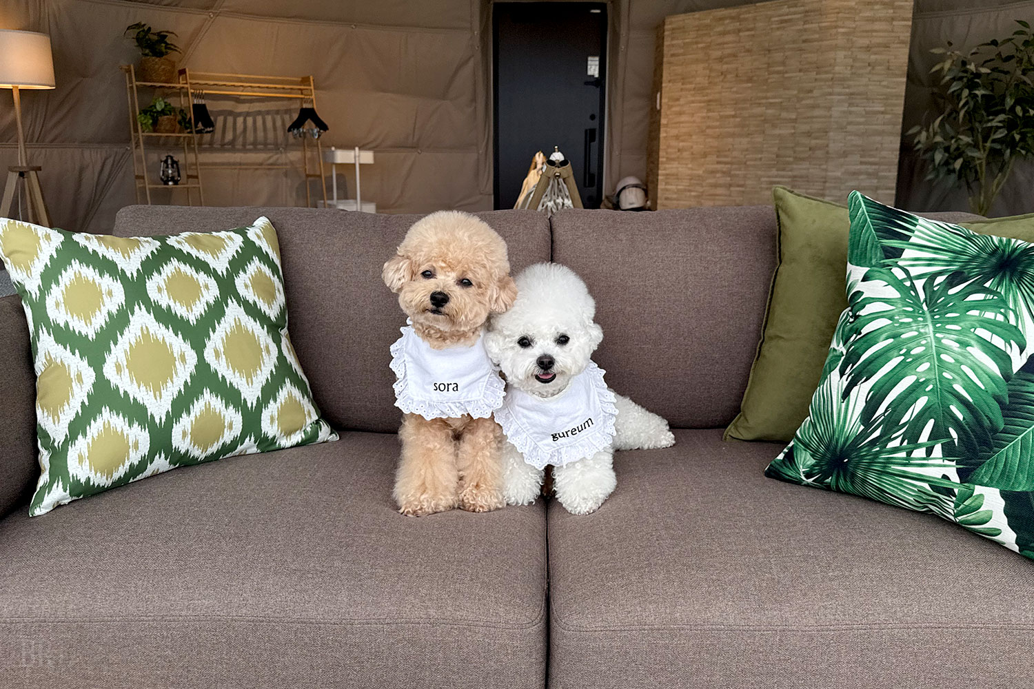 愛犬とともに楽しむ