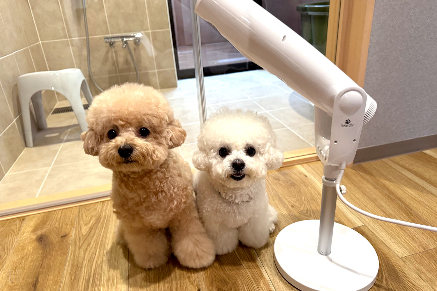 お部屋でのんびり時間
