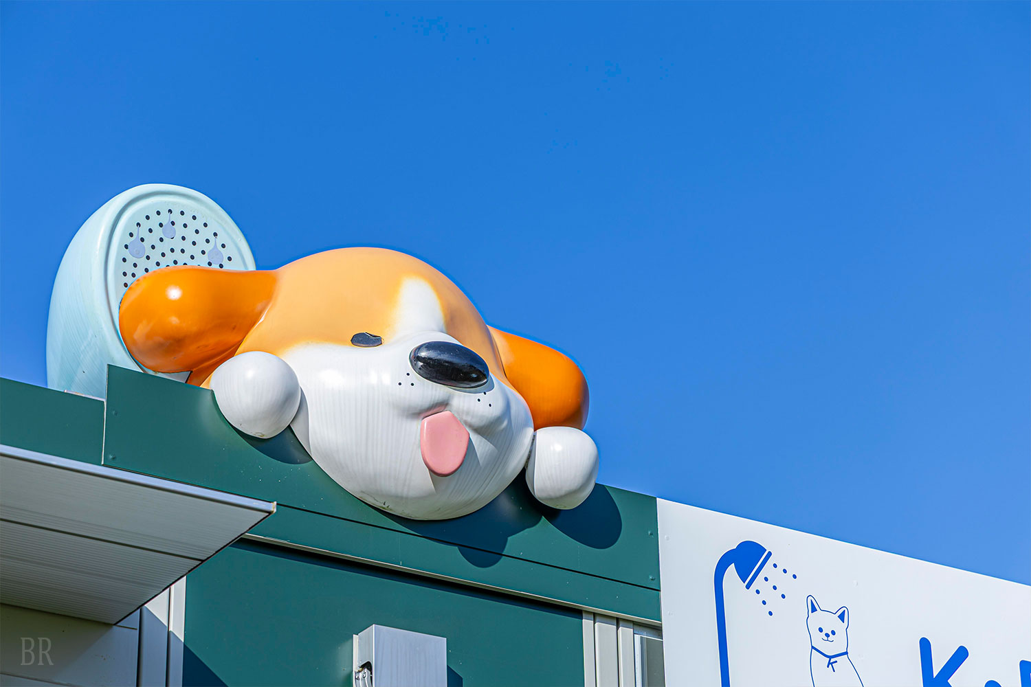 ギャラリー ドッグスパ